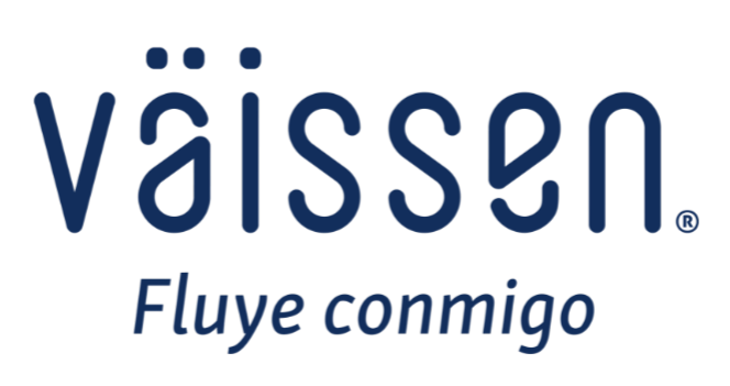 Vaissen